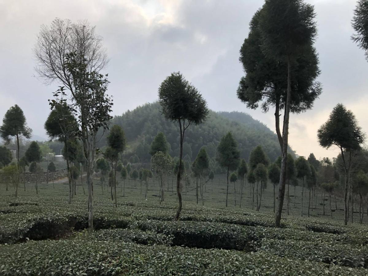 Leye 悟 佐茶 Satori Tea 빌라 외부 사진